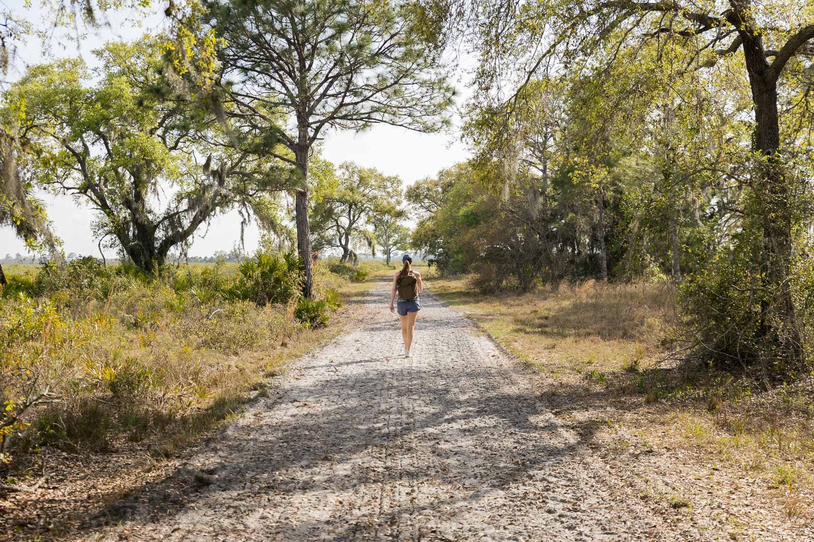 🌳 마이오카 공원 (舞岡公園) 이미지 4